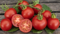 Tomate F1 'Harzfeuer'