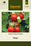 Tomate 'Maja'