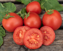 Tomate 'Maja'