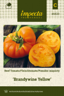 Fleischtomate 'Brandywine Yellow'