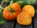 Fleischtomate 'Brandywine Yellow'
