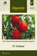 Fleischtomate 'Grifone'
