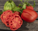 Fleischtomate 'Grifone'
