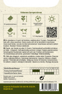 Kirschtomate F1 'Charmant'