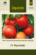 Fleischtomate F1 'Big Daddy'