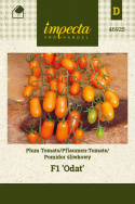 Pflaumentomate F1 'Odat'