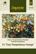 Kirschtomate 'Tiny Temptations Orange'