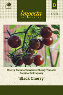 Kirschtomate 'Black Cherry'
