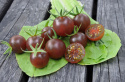 Kirschtomate 'Black Cherry'