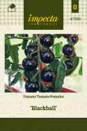 Tomate 'Blackball'