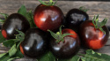 Tomate 'Blackball'
