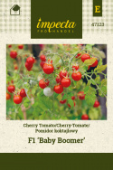 Kirschtomate F1 'Baby Boomer'