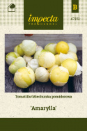 Tomatillo 'Amarylla'