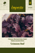 Blattsenf 'Crimson Red'