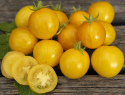 Cocktailtomate 'Tigerette Cherry'