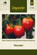 Pflaumentomate 'Herodes'