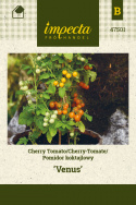 Kirschtomate 'Venus'