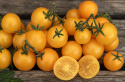 Kirschtomate 'Aztek'