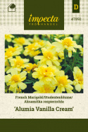 Tagetes 'Alumia Vanilla Cream'