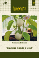 Aubergine 'Blanche Ronde à Oeuf'