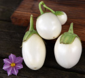Aubergine 'Blanche Ronde à Oeuf'