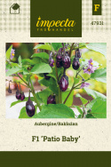 Aubergine F1 'Patio Baby'