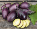 Aubergine F1 'Patio Baby'