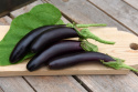 Aubergine 'De Barbentane'