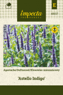 Duftnessel 'Astello Indigo´
