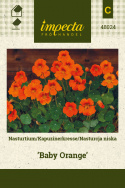 Kapuzinerkresse 'Baby Orange’