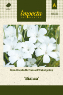 Kornrade 'Bianca' 