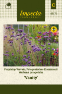 Patagonisches Eisenkraut 'Vanity‘ 