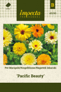 Ringelblume 'Pacific Beauty'