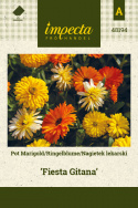 Ringelblume 'Fiesta Gitana'