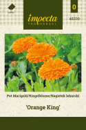 Ringelblume 'Orange King'