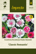 Kornblume 'Classic Romantic'