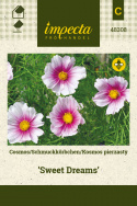 Schmuckkörbchen 'Sweet Dreams'