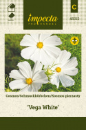 Schmuckkörbchen 'Vega White'