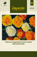 Kalifornischer Mohn