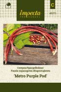 Spargelbohne 'Metro Purple Pod'