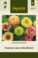 Zinnie 'Queeny Lime with Blotch'
