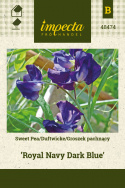 Duftwicke 'Royal Navy Dark Blue'
