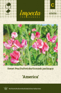 Duftwicke 'America'
