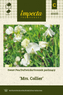 Duftwicke 'Mrs. Collier'