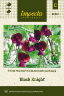 Duftwicke 'Black Knight'