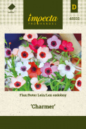 Zier-Lein 'Charmer'