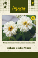 Zinnie 'Zahara Double White'