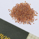 Strand-Silberkraut ‘Carpet Of Snow‘
