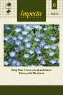 Hainblume/Liebeshainblume 