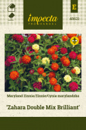 Zinnie 'Zahara Double Mix Brilliant'